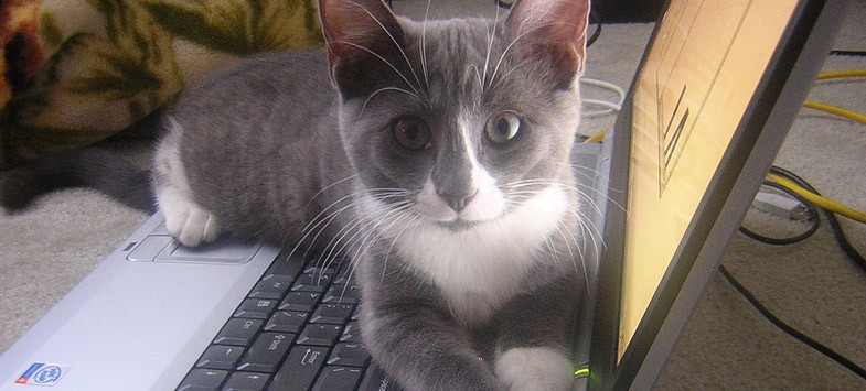 windows keyboard