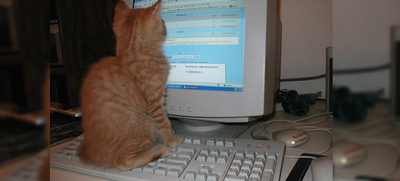 keyboard shortcuts