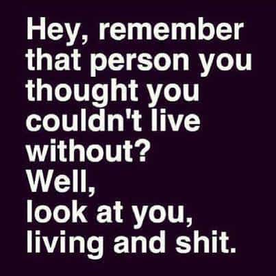 funny quotes