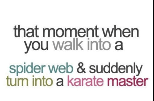 humorous one liners
