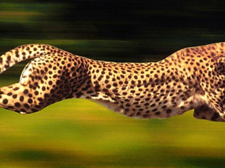 Image Website Speed